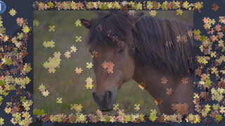 Скриншот 5 к игре Virtual Jigsaw Puzzles - Animals