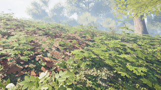 Скриншот 5 к игре Herbal Hunter
