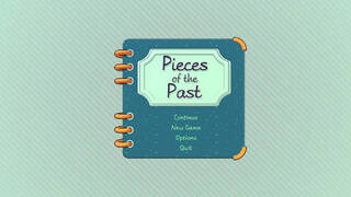 Pieces of the Past