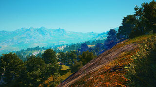 Скриншот 7 к игре Wildwood: Hearth & Horizon