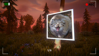 Скриншот 5 к игре Floppa: The Dark Forest