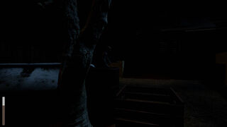 Скриншот 5 к игре Horror of Victim