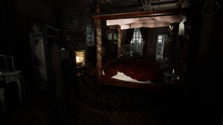 Скриншот 5 к игре The Vampire