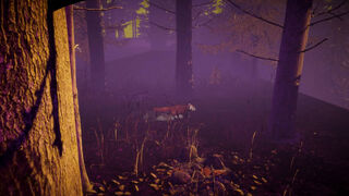 Скриншот 7 к игре Edenbound