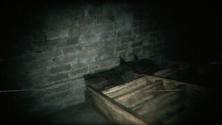 Скриншот 5 к игре Paranormal Archives