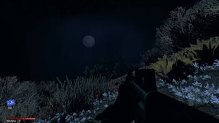 Скриншот 6 к игре Dark Skies 2: Keepers of Nemansk