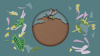 Скриншот 5 к игре Papercut Art Gallery-Growth