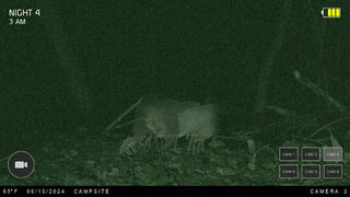 Скриншот 5 к игре Night at the Cabin