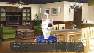 Скриншот 7 к игре My Fair Cat: Snow