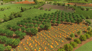 Скриншот 8 к игре Global Farmer