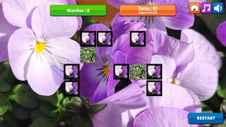 Скриншот 5 к игре OG Memory: Spring 2K24