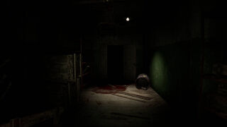Скриншот 5 к игре Paranormal place