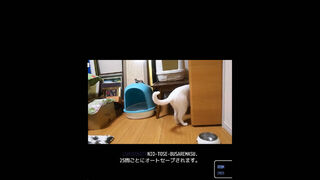 Скриншот 5 к игре 表示画像変更可能タイピング