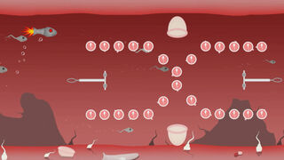 Скриншот 6 к игре Fallopian Frenzy! Come Again?