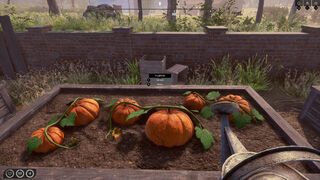 Скриншот 6 к игре Rancher: A new life