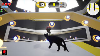 Cat Test Lab : Multiplayer Contest Arena