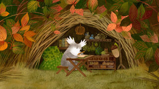 Скриншот 5 к игре Tukoni: Forest Keepers