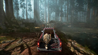 Скриншот 8 к игре Ultimate Hunting