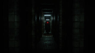 Скриншот 6 к игре RED DOOR YLW DOOR
