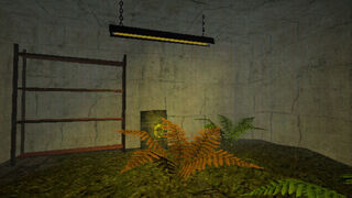 Скриншот 5 к игре Into The Dread