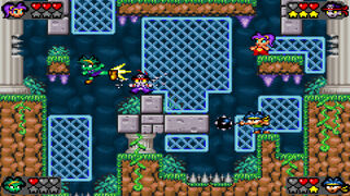 Скриншот 5 к игре Shantae Advance: Risky Revolution