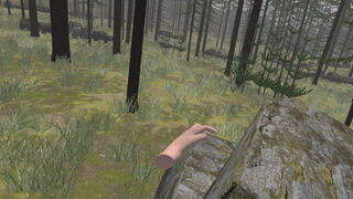 Скриншот 7 к игре Forest Construction VR