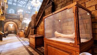 Скриншот 7 к игре Virtual Heritage Tour: VR Museum Adventure