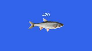 Скриншот 5 к игре Fish
