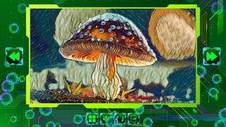 Twizzle Puzzle: Mushrooms