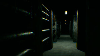 Скриншот 5 к игре Behind The Backrooms