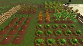 Farming & Supermarket Simulator