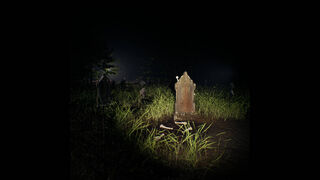 Скриншот 7 к игре Slenderman: Shadow of the Forest