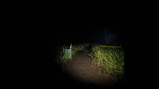 Скриншот 8 к игре Slenderman: Shadow of the Forest