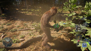 Скриншот 7 к игре Bigfoot Life