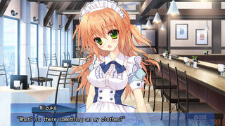 Скриншот 7 к игре A Maiden's Serenade
