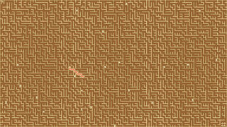 Скриншот 7 к игре A Mazing Cheesesnake