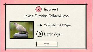 BirdLingo: A birdsong learning game