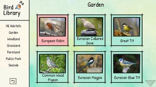 Скриншот 6 к игре BirdLingo: A birdsong learning game