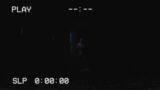 Скриншот 8 к игре ECHO OF FEAR: Vol.1 Night Visit