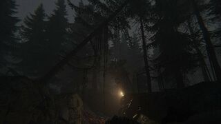 Скриншот 5 к игре Despondent