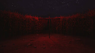Скриншот 6 к игре CornField
