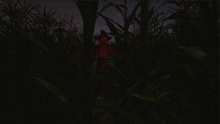 Скриншот 7 к игре CornField