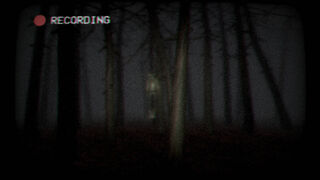 Скриншот 6 к игре The Grove