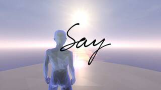 Say