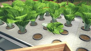 Скриншот 5 к игре Hydroponics Farm & Store Simulator