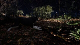 Скриншот 5 к игре The Good Dog: Chasing Shadows