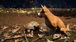 Скриншот 8 к игре The Good Dog: Chasing Shadows