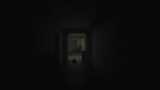 Скриншот 8 к игре The Vanished Soul