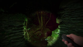 Скриншот 8 к игре Wychwood Hollow