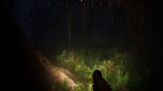 Скриншот 5 к игре Saci: The Cursed Hunt